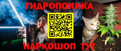 шишки Пыть-Ях