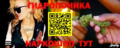 гашик Пугачёв