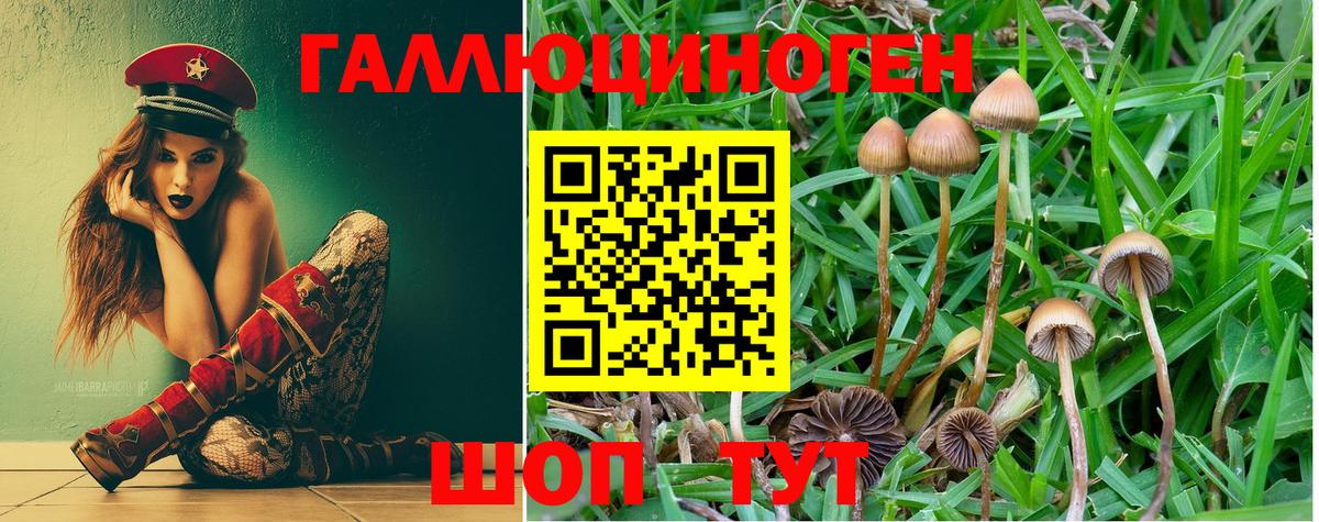 Галлюциногенные грибы MAGIC MUSHROOMS  Вход с VPN  Галлюциногенные грибы мухоморы  Сертолово 