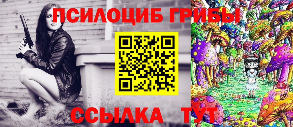 Галлюциногенные грибы мицелий  Сертолово 