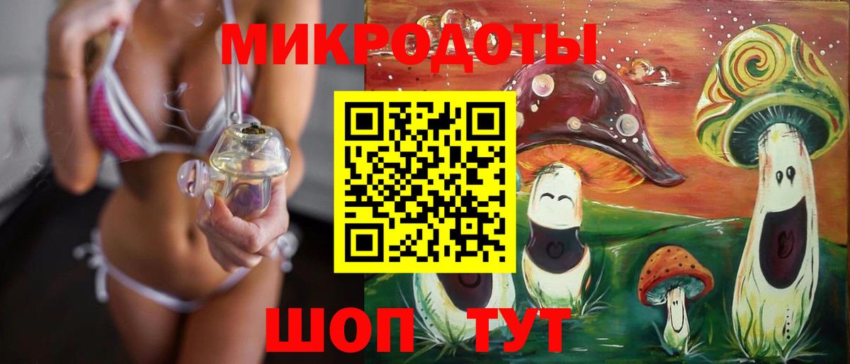 Псилоцибиновые грибы Cubensis Сертолово